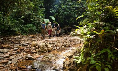 OPORTUNIDAD REMATE MINDO para Inversionistas, ideal para proyecto turístico, cerca Mashpi Lodge
