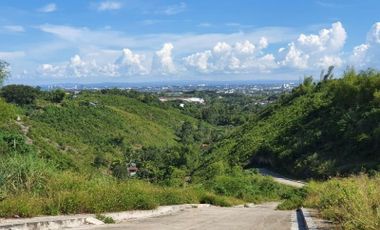 Overlooking 208 Sqm Residential Lot Only for Sale in Vista Verde Consolacion Cebu with City Views