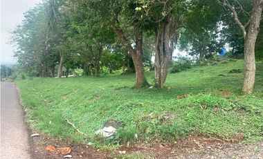 VENTA DE LOTE DE TERRENO EN LA CHORRERA