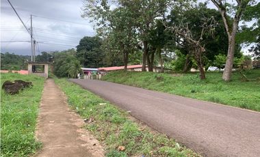 VENTA DE LOTE DE TERRENO EN LA CHORRERA