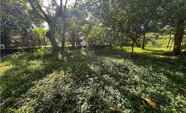Venta de terreno con dos casas en Vía Panamericana, David Chiriquí