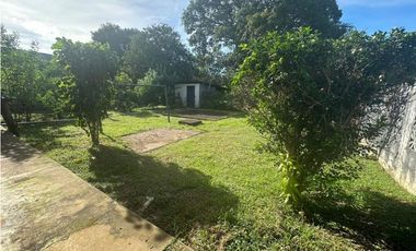 Venta de terreno con dos casas en Vía Panamericana, David Chiriquí