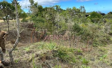 Parcela en Venta en fundo puertecillo