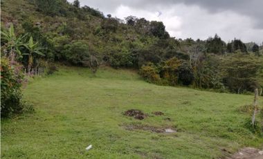 Lote en Venta - Guarne, Antioquia