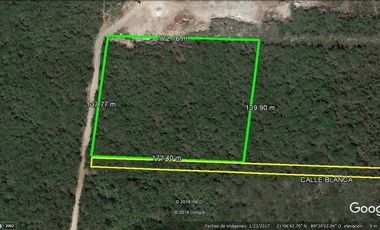 Terreno en venta  Mérida Yucatán, Conkal (2.3 hectáreas)