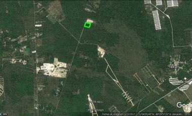 Terreno en venta  Mérida Yucatán, Conkal (2.3 hectáreas)