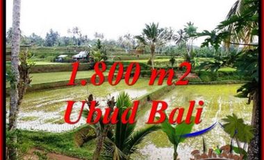 Termurah ! Tanah di Ubud Bali 18 Are Dijual 85 Jt/ Are Nett