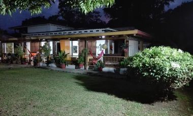 finca en venta en potrerito. Cod V2452