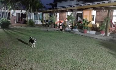 finca en venta en potrerito. Cod V2452