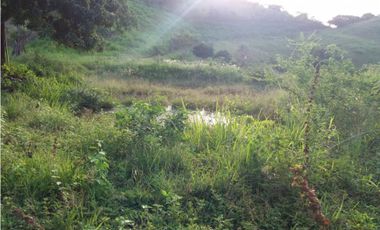 Finca en Anapoima Cund, 36 fanegadas