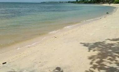 For Sale whitesand beach loy in Daanbantayan Cebu