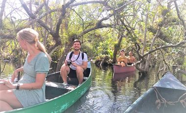 VENTA FINCA AIRB&B CASA SOLFERINO LÁZARO CÁRDENAS QUINTANA ROO