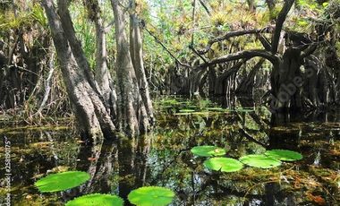 VENTA FINCA AIRB&B CASA SOLFERINO LÁZARO CÁRDENAS QUINTANA ROO