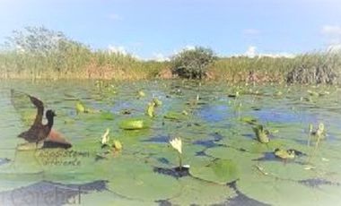 VENTA FINCA AIRB&B CASA SOLFERINO LÁZARO CÁRDENAS QUINTANA ROO