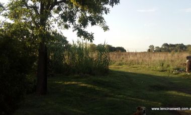 Quinta de 1,5 hectáreas con vivienda en Ing. Allan, La Carolina, Florencio Varela