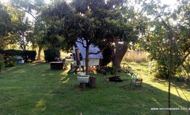 Quinta de 1,5 hectáreas con vivienda en Ing. Allan, La Carolina, Florencio Varela