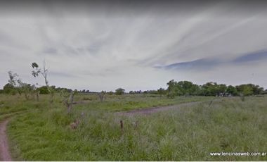 Quinta de 1,5 hectáreas con vivienda en Ing. Allan, La Carolina, Florencio Varela