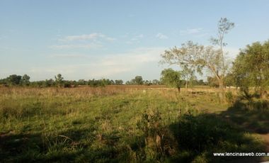 Quinta de 1,5 hectáreas con vivienda en Ing. Allan, La Carolina, Florencio Varela