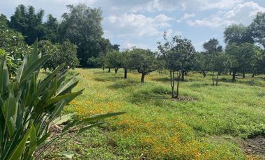 Rancho en venta en Xochitlán Morelos