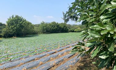 Rancho en venta en Xochitlán Morelos