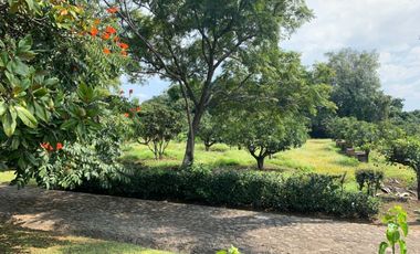 Rancho en venta en Xochitlán Morelos