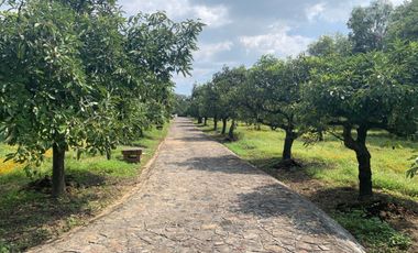 Rancho en venta en Xochitlán Morelos