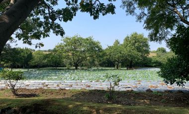 Rancho en venta en Xochitlán Morelos