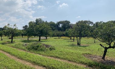 Rancho en venta en Xochitlán Morelos