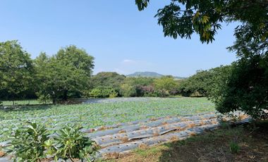Rancho en venta en Xochitlán Morelos