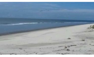 Se vende terreno a orilla de playa en Punta Chame.