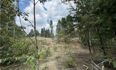 Lote Industriall para la venta en Guarne