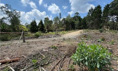 Lote Industriall para la venta en Guarne