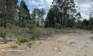 Lote Industriall para la venta en Guarne
