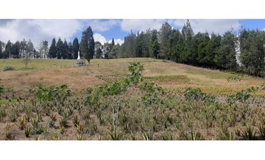 Lote Industriall para la venta en Guarne