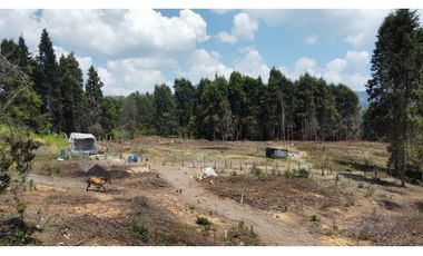 Lote Industriall para la venta en Guarne