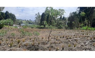 Lote Industriall para la venta en Guarne