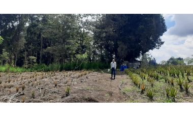 Lote Industriall para la venta en Guarne