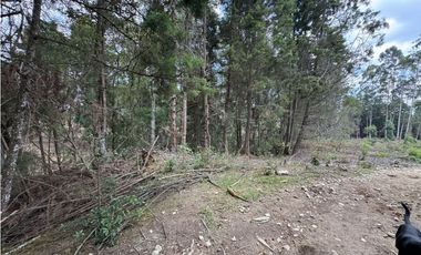 Lote Industriall para la venta en Guarne