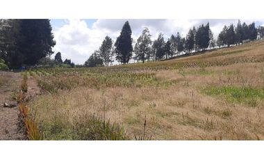 Lote Industriall para la venta en Guarne