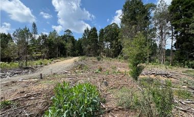 Lote Industriall para la venta en Guarne