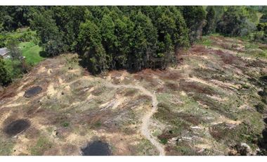 Lote Industriall para la venta en Guarne