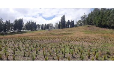 Lote Industriall para la venta en Guarne