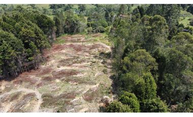Lote Industriall para la venta en Guarne