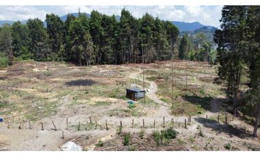 Lote Industriall para la venta en Guarne