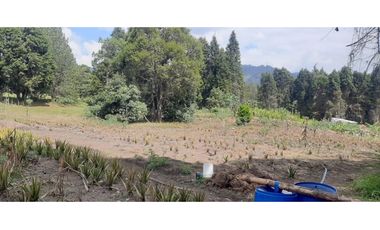Lote Industriall para la venta en Guarne