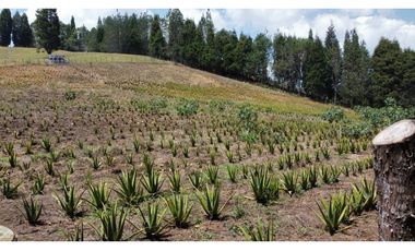 Lote Industriall para la venta en Guarne