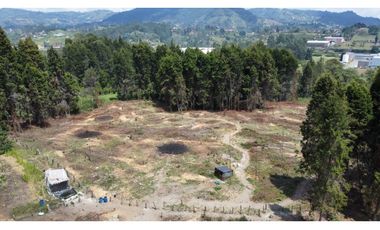 Lote Industriall para la venta en Guarne