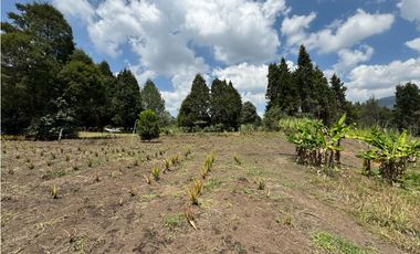 Lote Industriall para la venta en Guarne