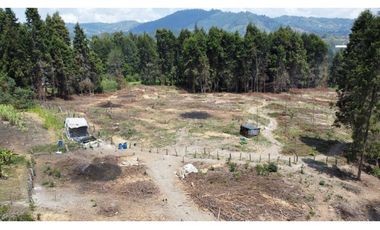 Lote Industriall para la venta en Guarne