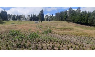 Lote Industriall para la venta en Guarne